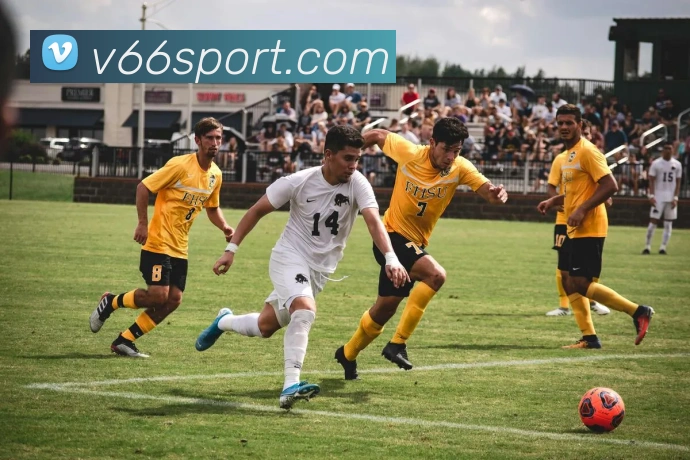 V66体育服务体系